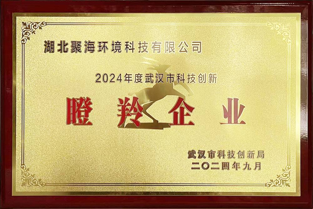武漢市科技創新瞪羚企業